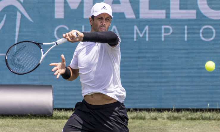 doping verdasco